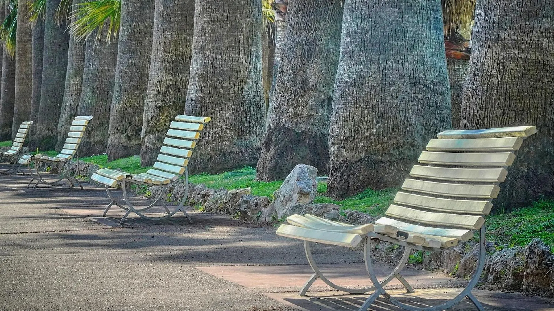 公寓 Le Palm - 100M Plage - Croisette - Verriere Cote D'Azur 戛纳 法国