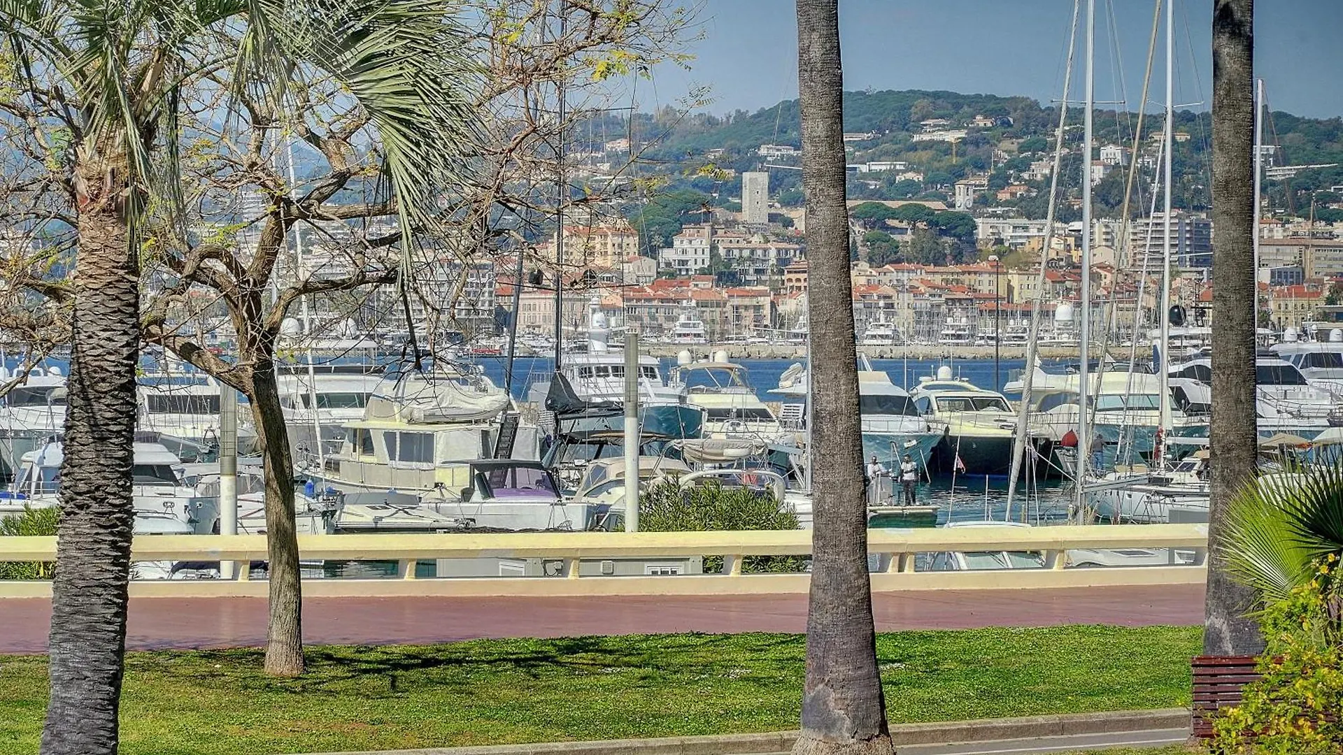Apartment Le Palm - 100M Plage - Croisette - Verriere Cote D'Azur Cannes