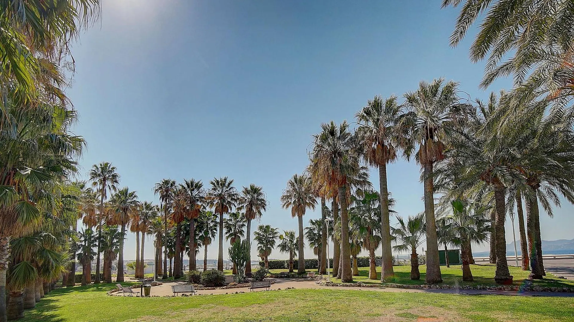 Le Palm - 100M Plage - Croisette - Verriere Cote D'Azur Cannes Apartment